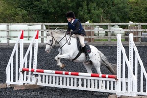 Class 3 -  Fences not above 2'3